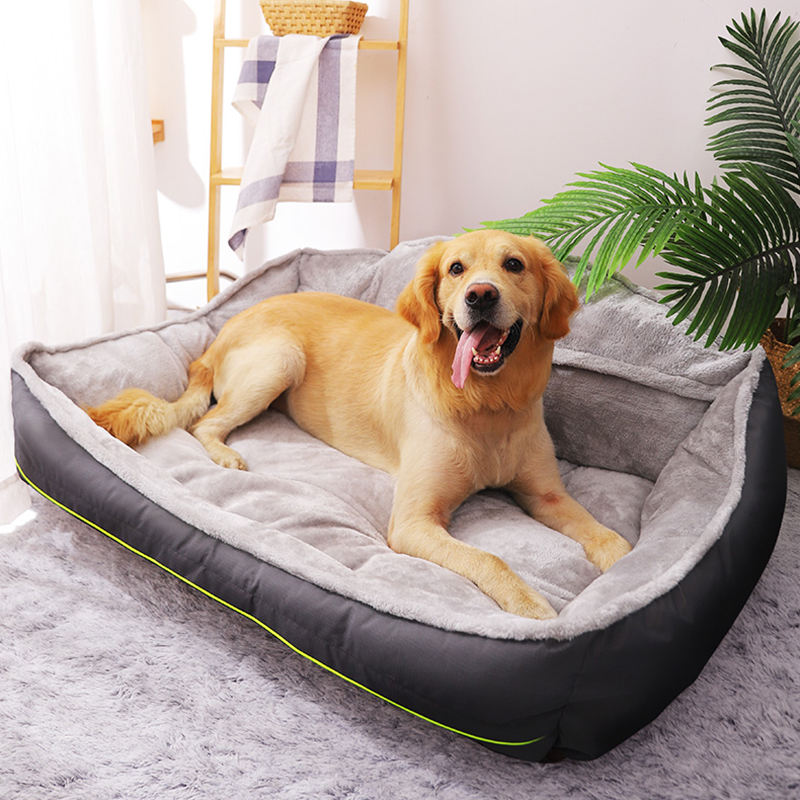 memory foam dog couch