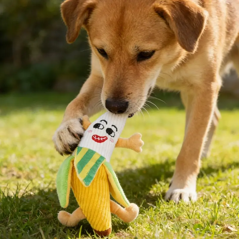 Dog Squeeze Squeaker Chew Toy