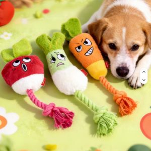 Pet Toys