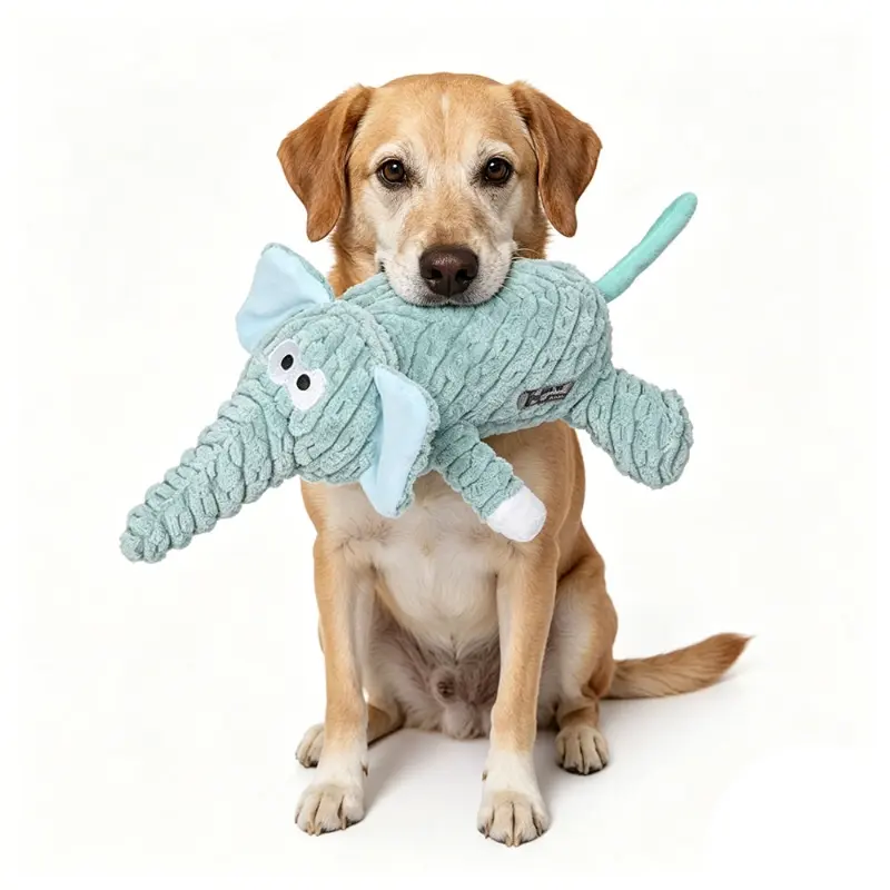Interactive Training Pet Chew Toys